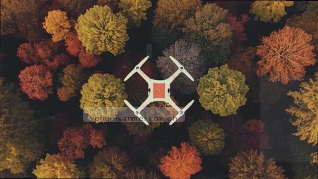 毫秒级响应